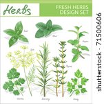 fresh herbs. vector design set. | Shutterstock .eps vector #71500606