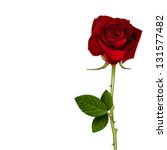 blooming red flower rose. love  ... | Shutterstock .eps vector #131577482