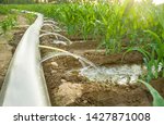 Flexible Irrigation Tubing...