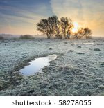 Frosted Autumn Meadow At Dawn