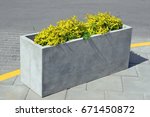 A rectangular concrete flower pot with a yellow plant is installed on the city road intersection. Sunny summer day urban fragment
