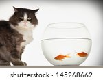 Cat Sitting By Fishbowl With...