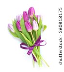 Purple Tulips Bouquet. Isolated ...
