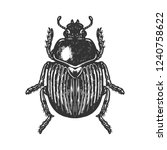 Scarab Beetle Engraving Vector...