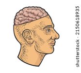 open brain in head color sketch ... | Shutterstock .eps vector #2150618935