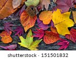 Abstract Background Of Autumn...