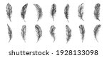 vector black and white feather... | Shutterstock .eps vector #1928133098