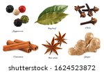 spices and herbs. peppercorn ... | Shutterstock .eps vector #1624523872