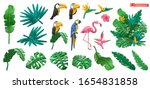 tropical plants and flowers ... | Shutterstock .eps vector #1654831858