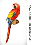 Ara Parrot. Macaw. Photo...