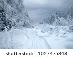 Small photo of Snow logging road in Siberian snow-covered and frosty forest. Tree branches bent under weight of snow and hoarfrost. Siberia as endless and cold country without roads, interminable forests and swamps