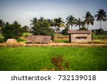 Indian Agricultural Areas With...