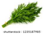 bunch fresh green dill isolated on white background.