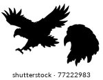 Eagle Silhouettes Vector