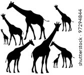 Set Of Fine Giraffe Silhouettes ...