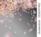vector background with spring... | Shutterstock .eps vector #1020247402