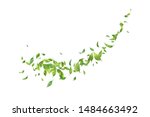 vector leaf whirling in the... | Shutterstock .eps vector #1484663492
