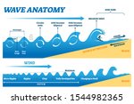 Wave Anatomy Vector...