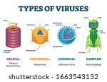 types of viruses vector... | Shutterstock .eps vector #1663543132