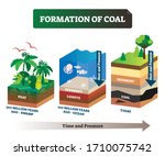 Formation Of Coal Vector...