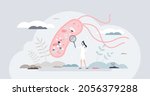 mechanism of antibiotic... | Shutterstock .eps vector #2056379288