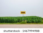Yellow traffic sign with black arrows pointing left and right before a field of corn (maize) along a county road on an overcast morning in Iowa, USA, for concepts of necessity, alternatives, decisions