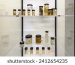 Small photo of SARASOTA, FL, USA - JAN. 10, 2024: Plant specimens in jars on display in a laboratory of a new plant research center, part of an expansion of the downtown campus of Marie Selby Botanical Gardens.