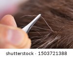 Close-up Of Hand Plucking Gray Hair With Tweezers