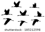 common crane in flight... | Shutterstock .eps vector #185212598