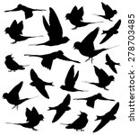 barn swallow set silhouettes | Shutterstock .eps vector #278703485
