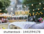 Catering service waiter holding a tray with Glasses of Wine Prosecco and Champagne for tasting
