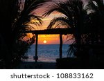 Colorful sunset in Mexico, holbox island, with palm tree in front