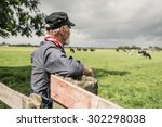 Small photo of Elderly farmhand leaning against the wooden gate watching a herd of dairy cows in a pasture