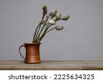 dried poppy seed heads in a ceramic vase on wooden table 