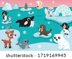 Cute Baby Seal Drawing vector clipart image - Free stock photo - Public ...