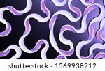 elegant minimal background. 3d... | Shutterstock . vector #1569938212