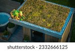 Small photo of Caucasian Man Taking Care of a Living Roof. Green Sedum Roof Garden Shed Project.