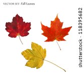 Vector Image Of Colorful Fall...