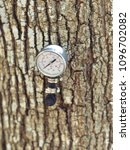 Small photo of Maple tree with tap (spile) and temperature reader. Isolated close up bright image.