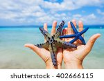 Starfish In Girl Hands
