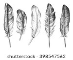 hand drawn feathers set on... | Shutterstock . vector #398547562