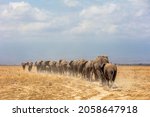 Small photo of African Elephants walking away in a single file line over a dry lake bed in Amboseli National Park in Kenya.
