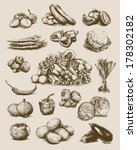 hand drawn vegetables set | Shutterstock .eps vector #178302182