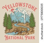 Vintage Yellowstone National Park Bison Mountain Geyser Scene