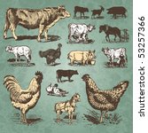 Vintage Farm Animals Drawings...