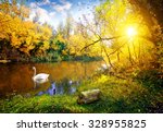 stock-photo-white-swan-on-lake-in-autumn-forest-328955825.jpg