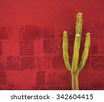 Green Cactus Over Red Wall ...