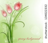 delicate tulip | Shutterstock .eps vector #134022332