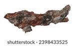 Small photo of Old rotten bark, putrid conifers isolated on white, clipping path