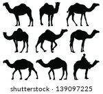 Silhouettes Of Camel Vector